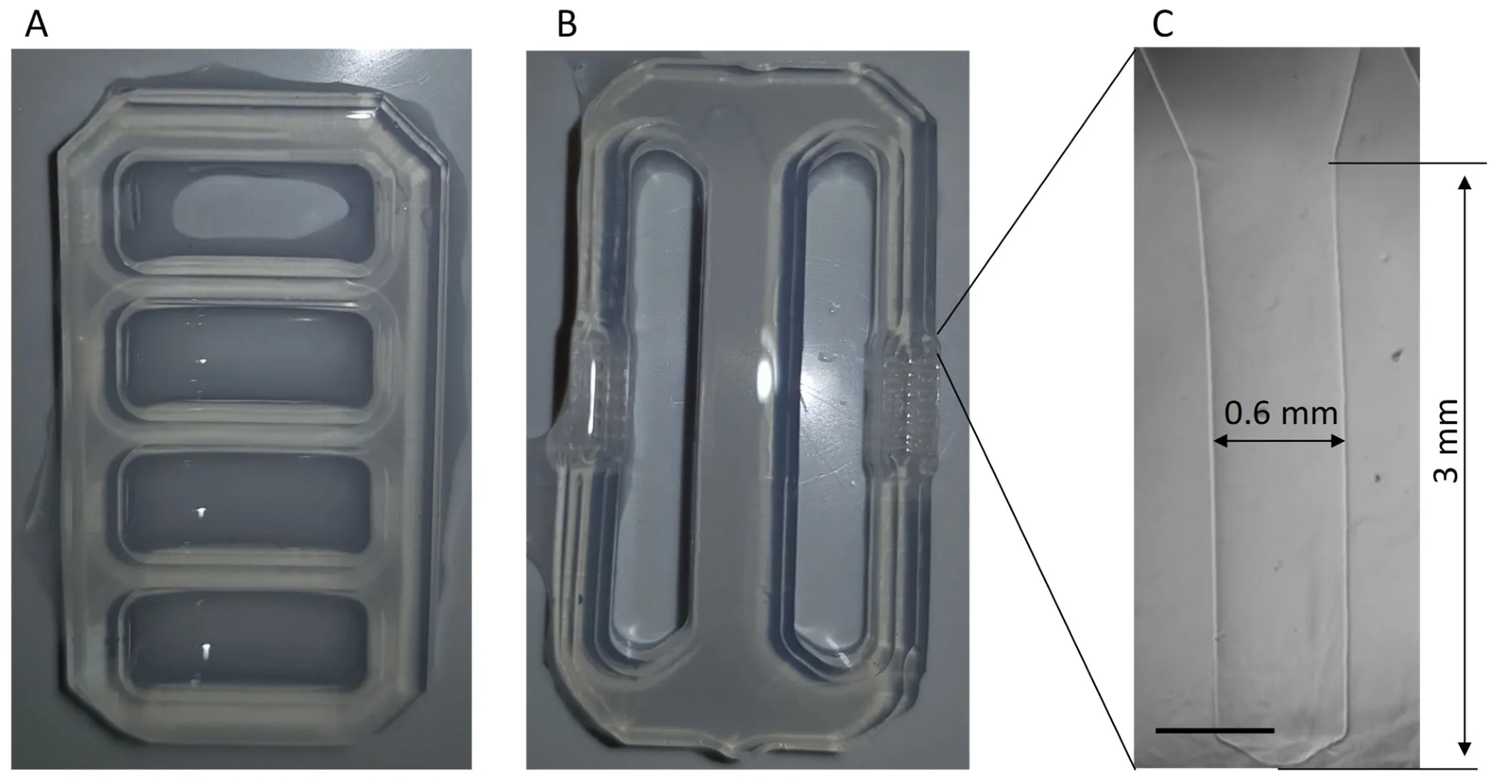 Photographs of the translucent agarose components of the Invasion Assay with a close-up of one cavity.