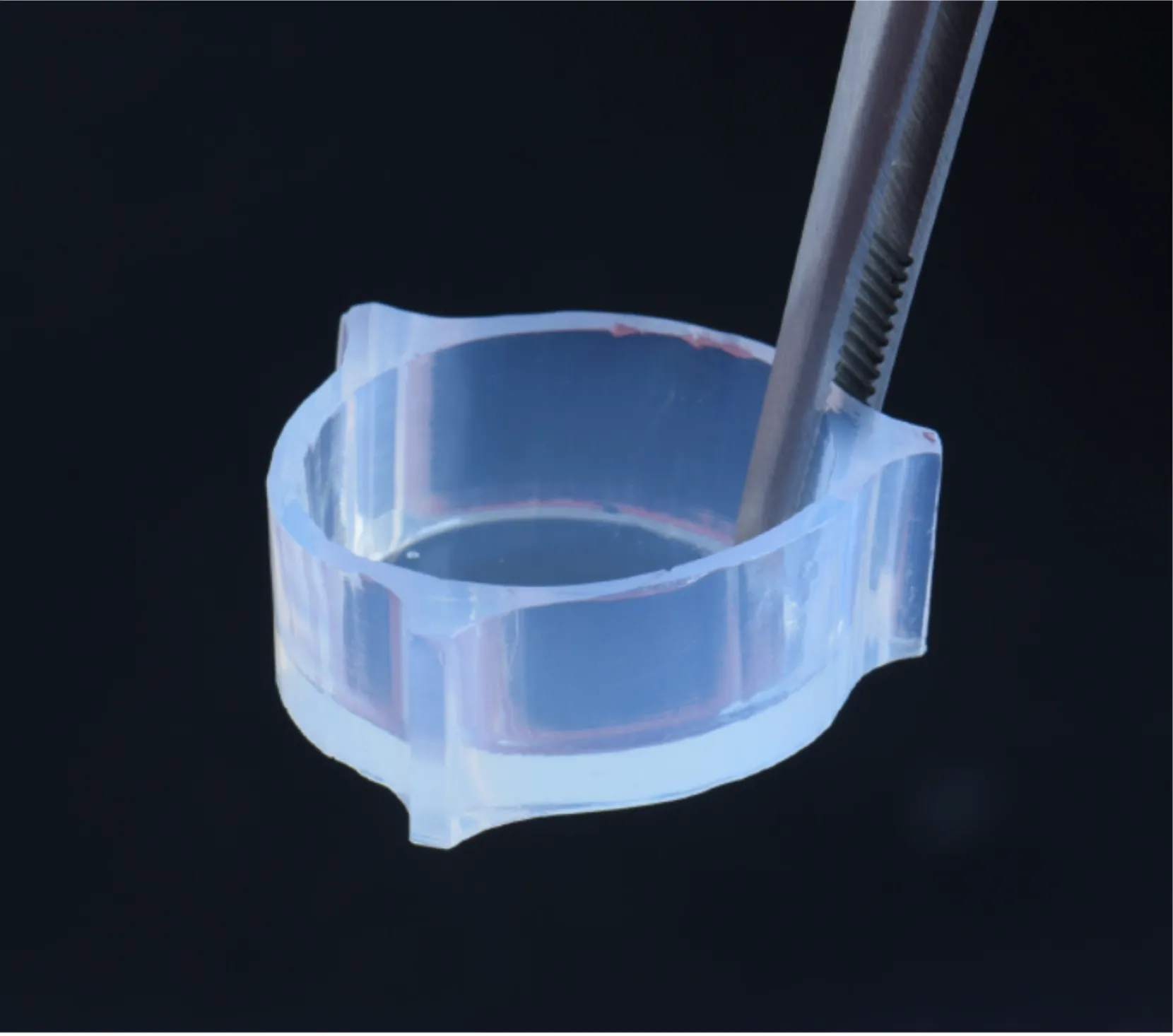 Aga Cup aus transluzenter Agarose, mit Pinzette gehalten